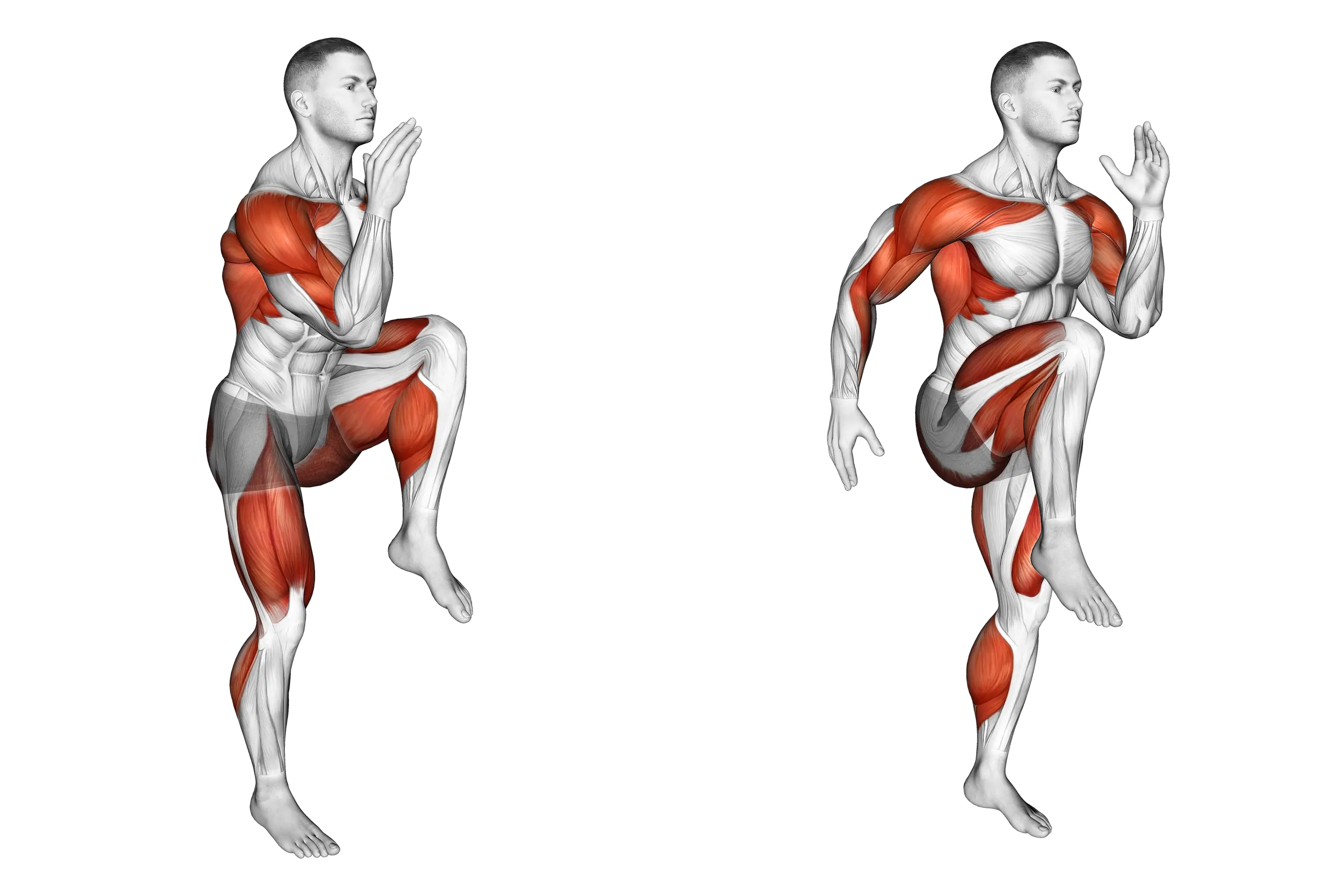 Dynamic high knees — exercise photo