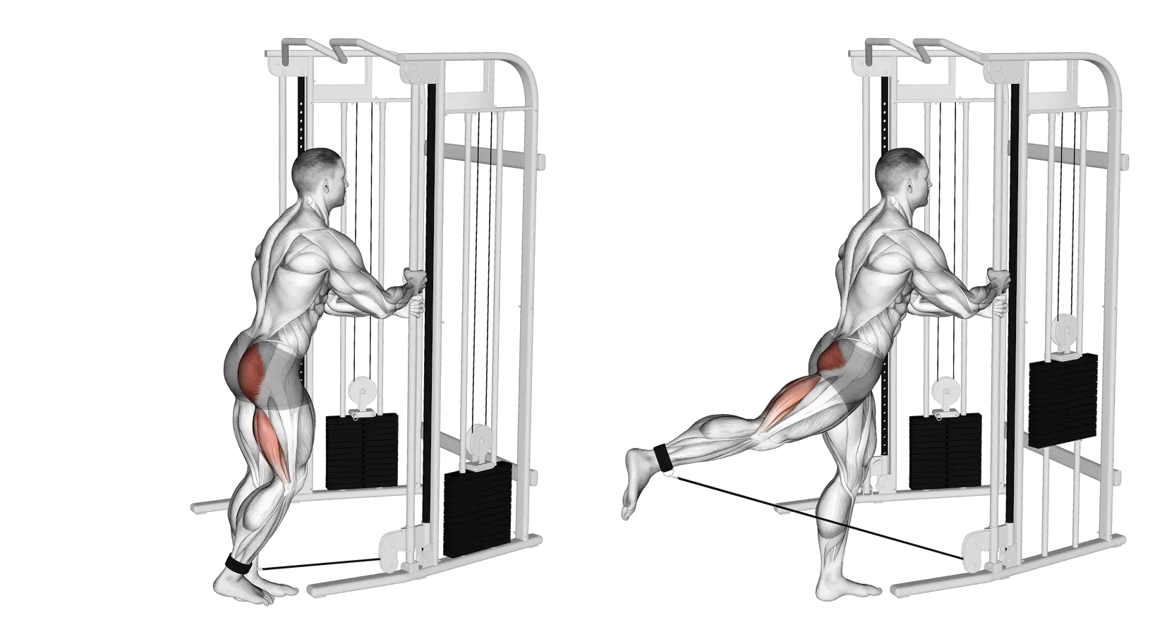 Cable hip extension with ankle strap (kickback)