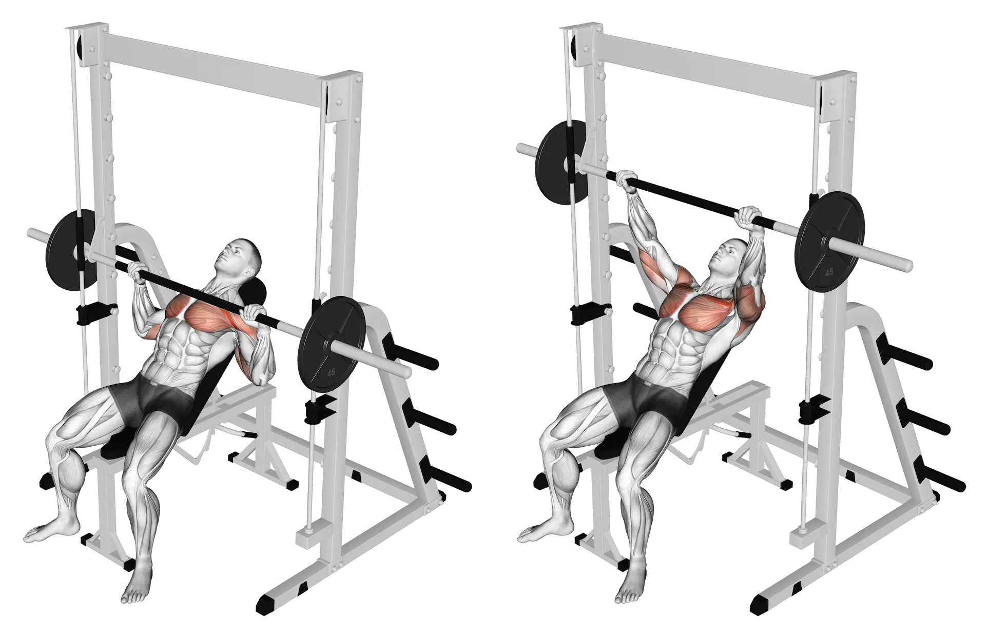 Schuin bankdrukken in de Smith-machine