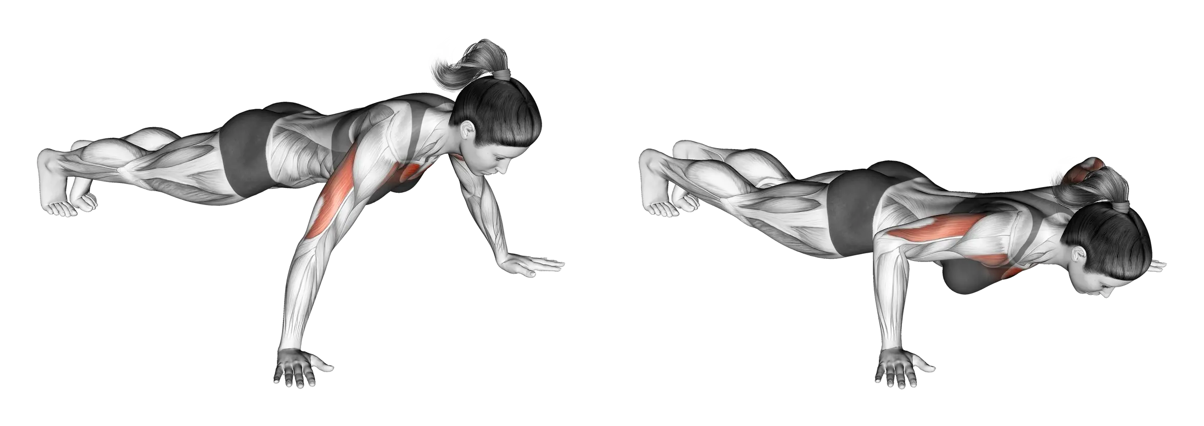 Femme réalisant des pompes prise large au poids du corps, accent sur pectoraux externes, épaules et triceps, fiche exercice DietHelper