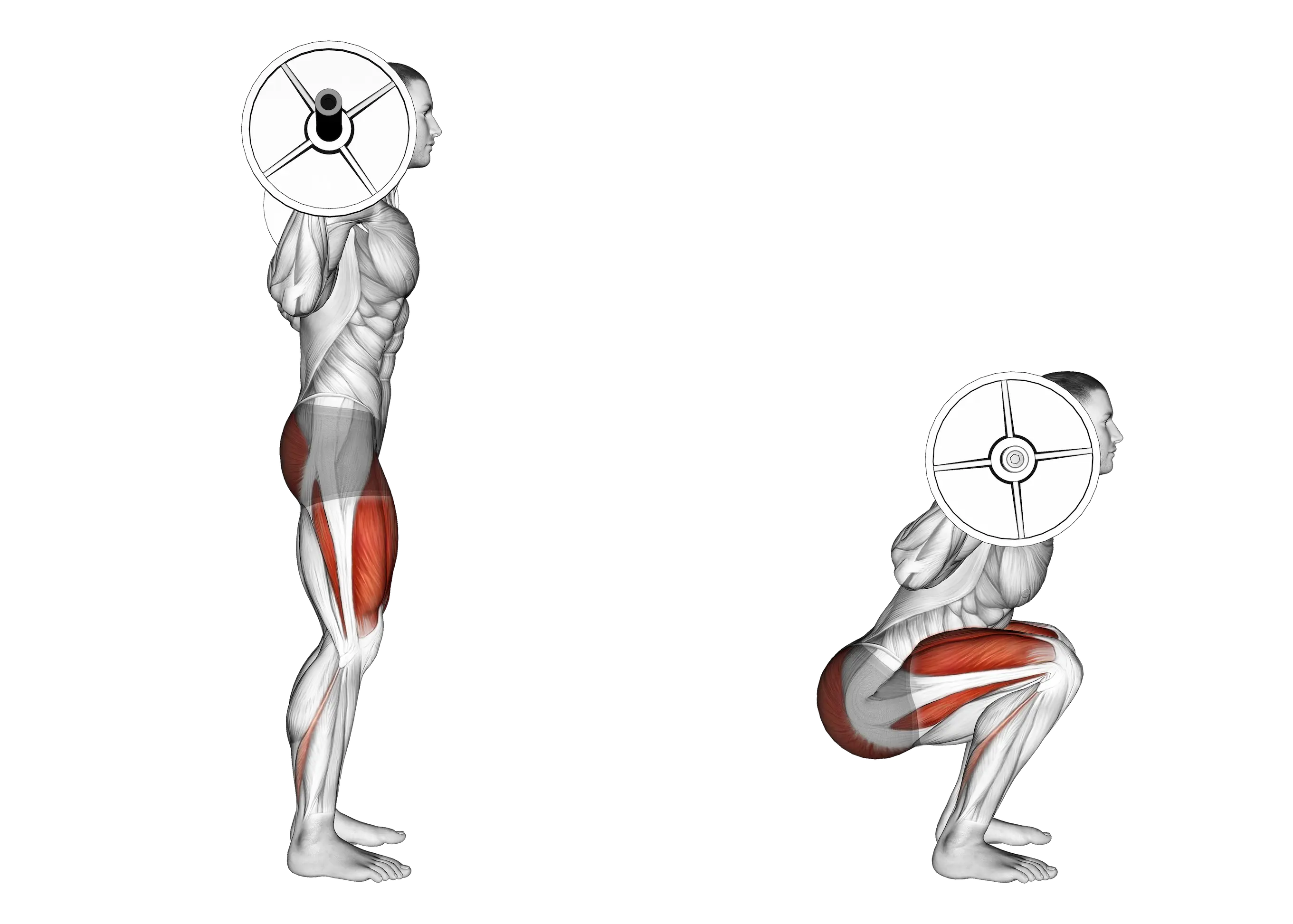 Deep Squat – Squat Complet, Test De Mobilité Et Technique – Coaching ...